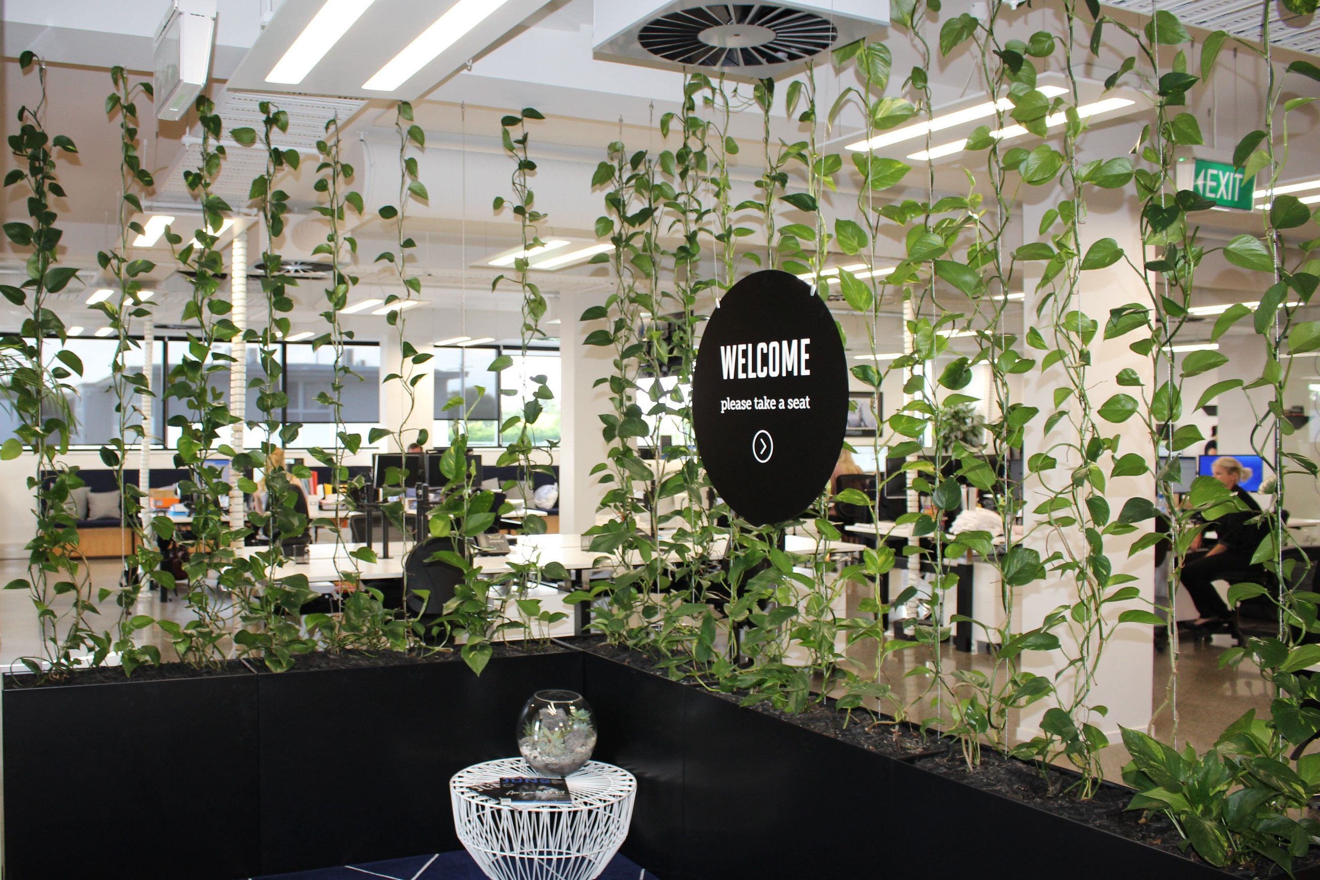 Vertical Live Plant Installations | Hire Plants