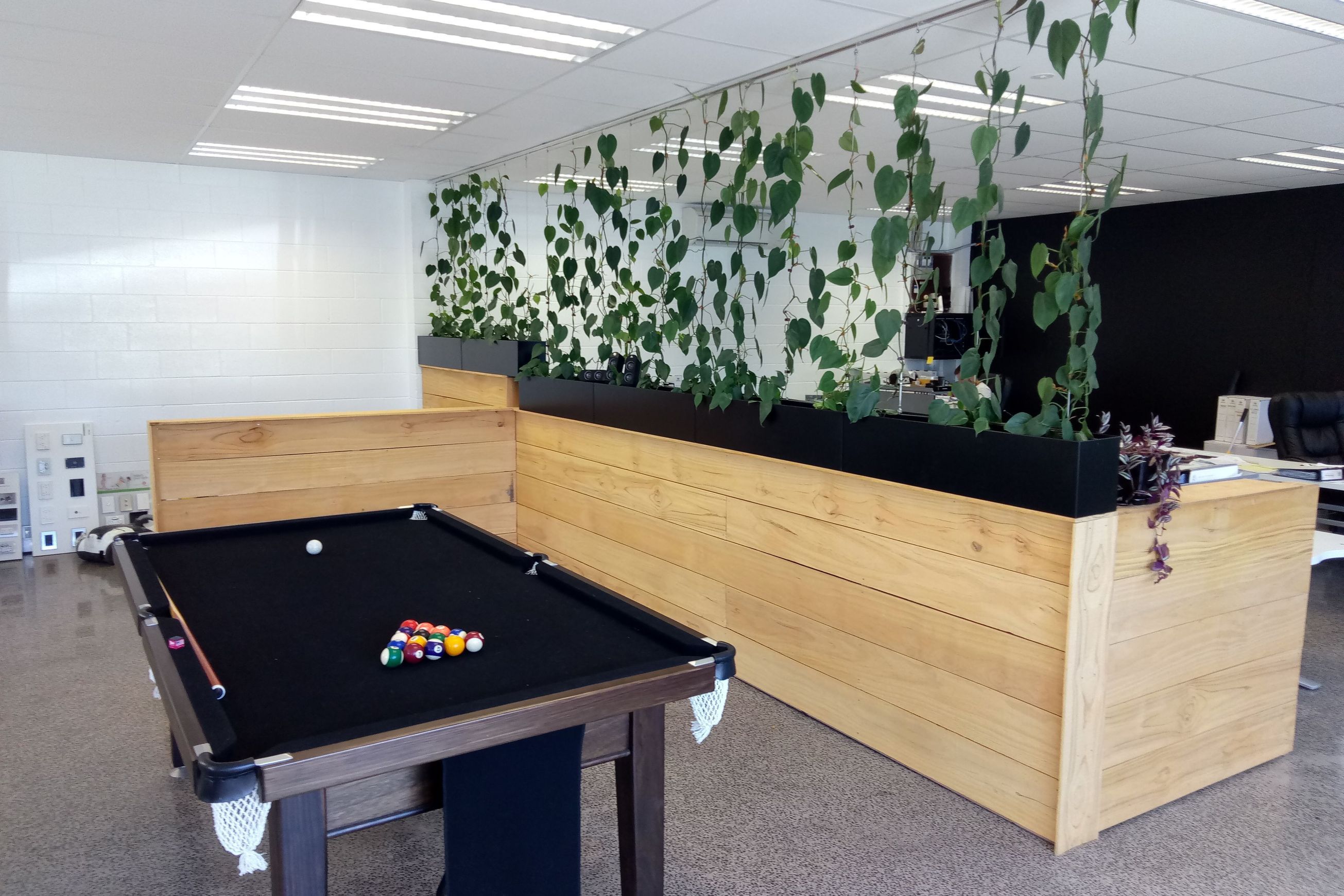 Vertical Live Plant Installations | Hire Plants