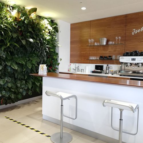 Vertical Live Plant Installations | Hire Plants