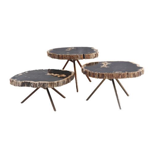 Poppy Petrified Wood Trio Nestling Coffee Table Set