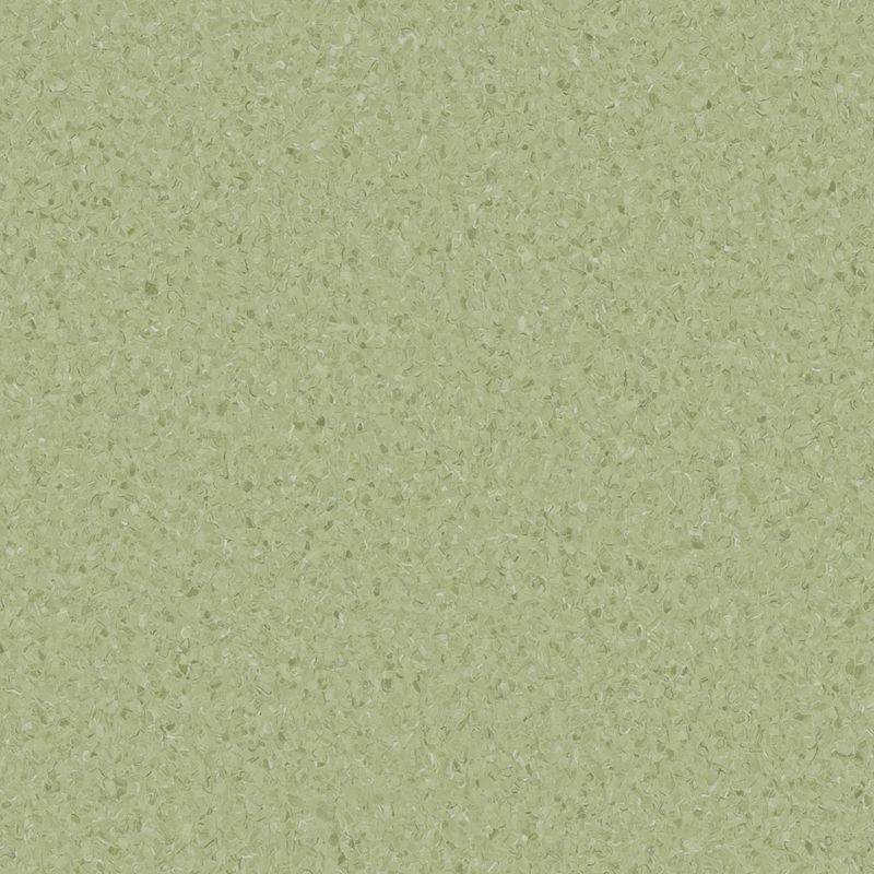 Accolade Plus | Casaurina