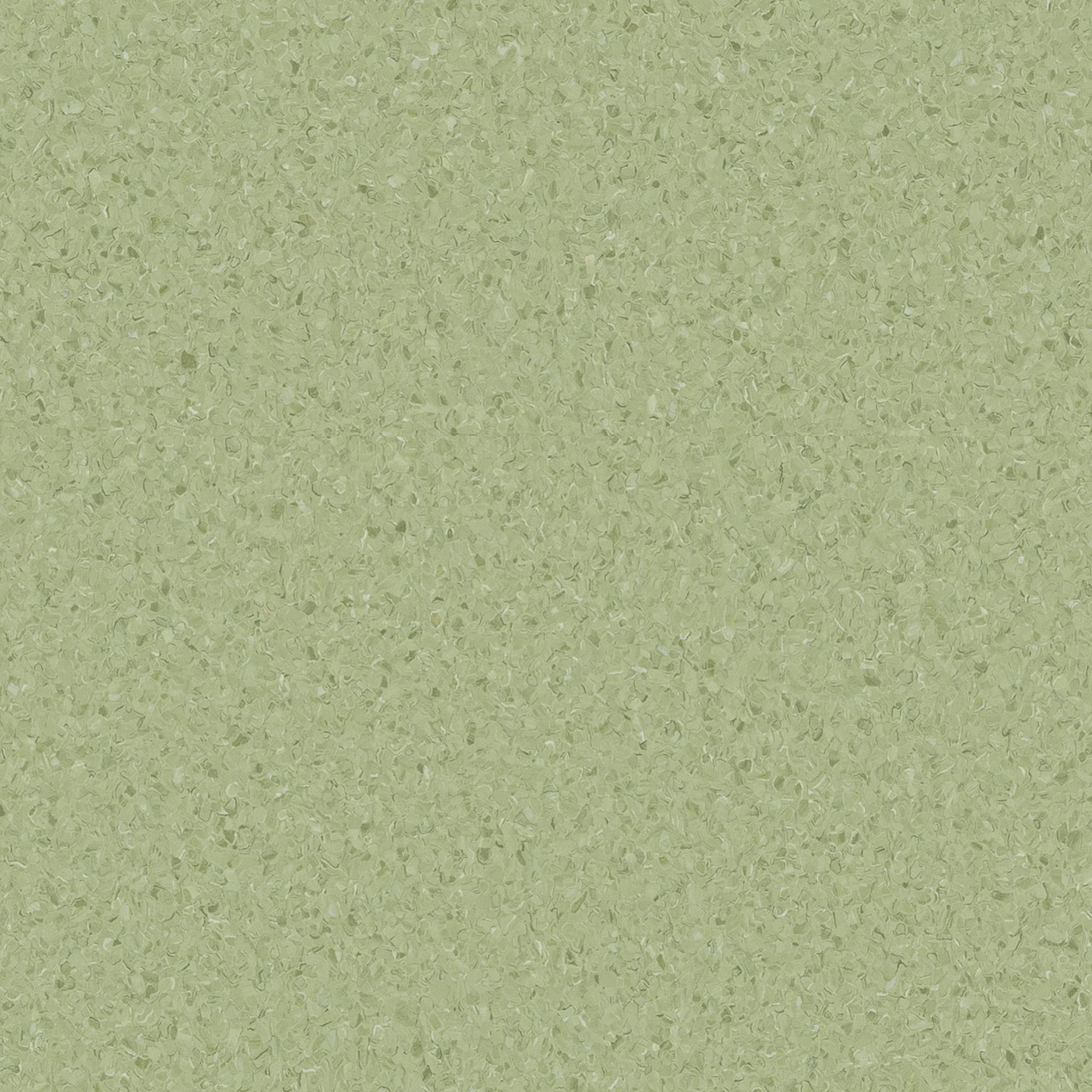 Accolade Plus | Casaurina