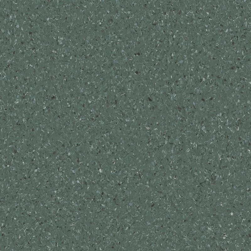 Accolade Plus | Moreton Fig