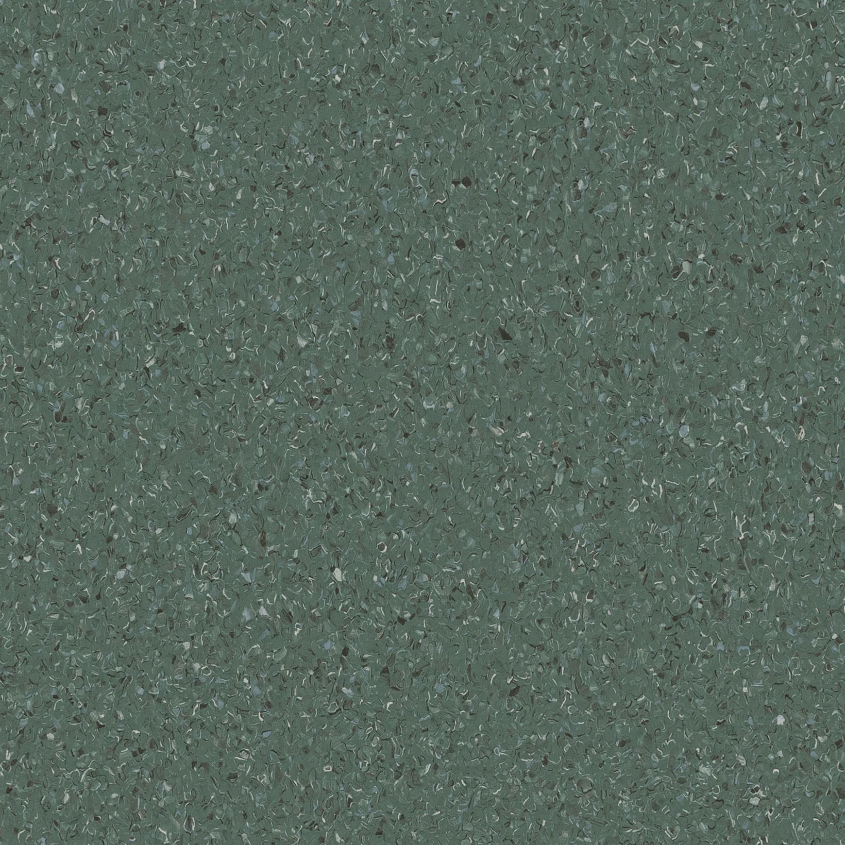 Accolade Plus | Moreton Fig