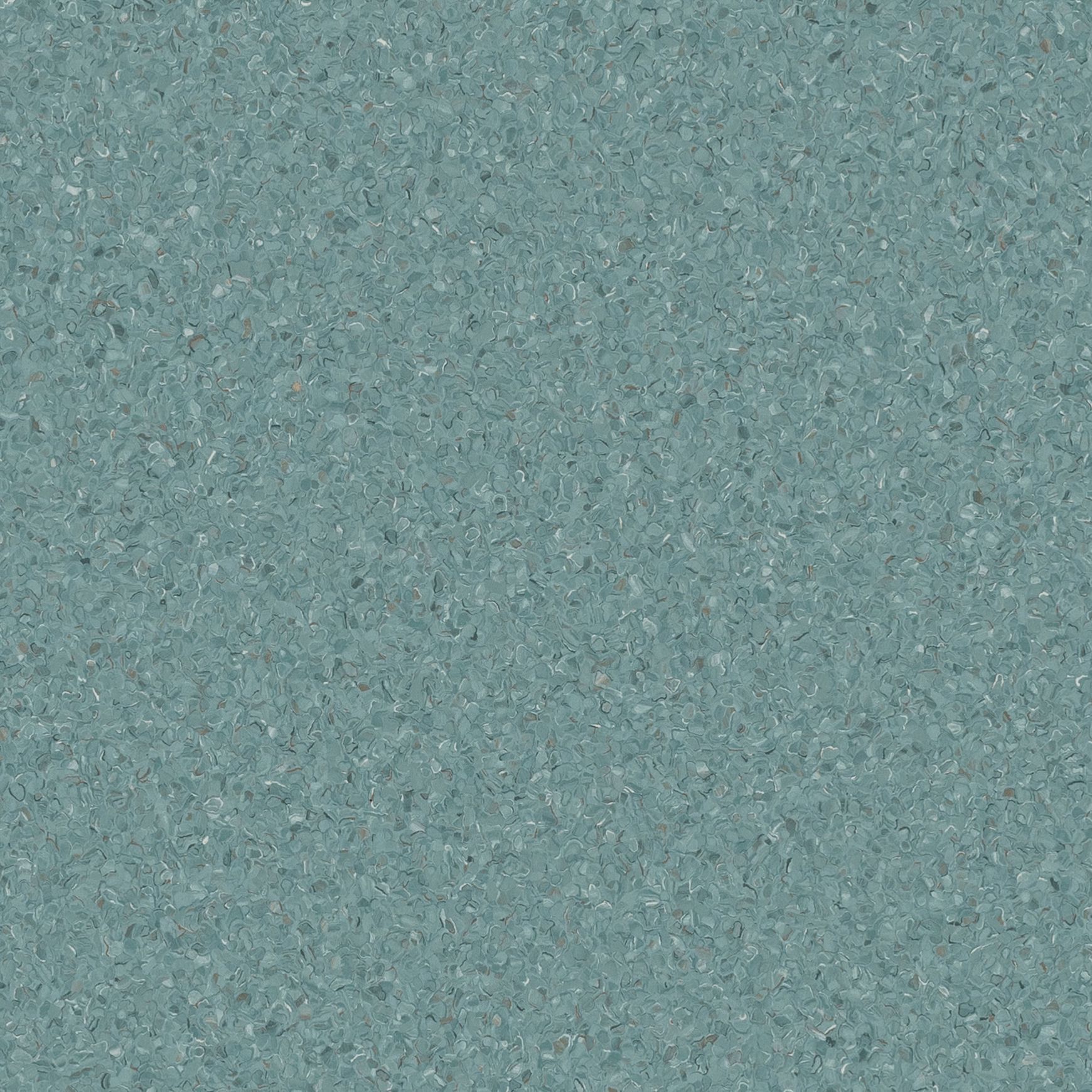 Accolade Plus | Torquay