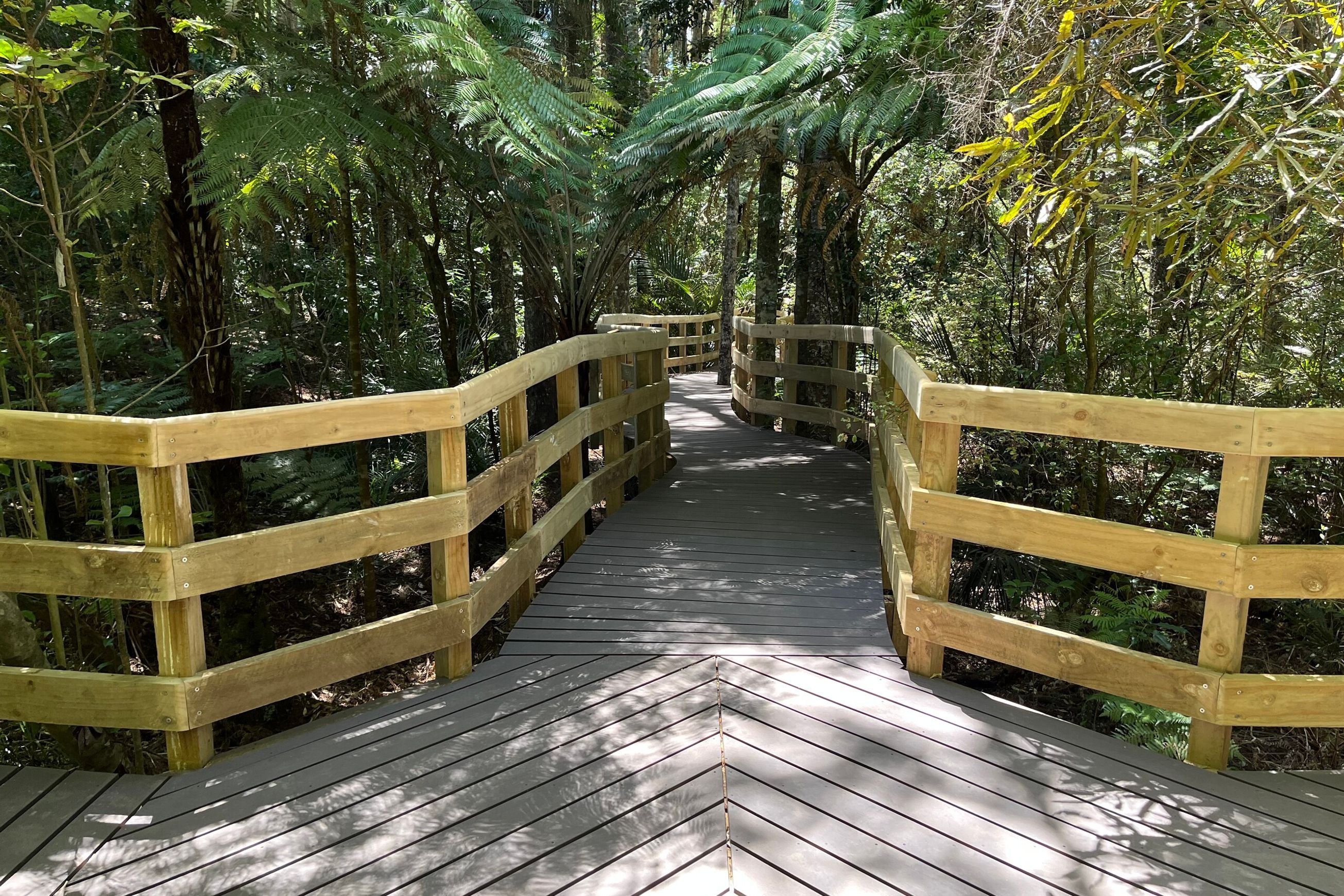 BiForm FOREST BOARD