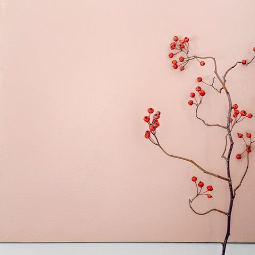 Microsilk Microcement | Corinthian Clay