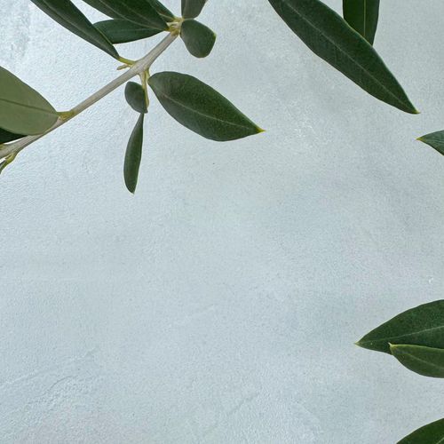 Microsilk Microcement | Apollo Grey