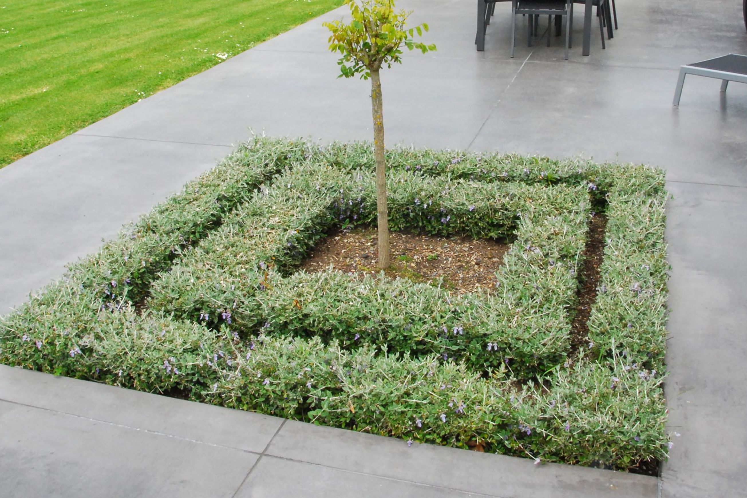Polished Concrete Flooring - Al Fresco (Multiple Exposure)