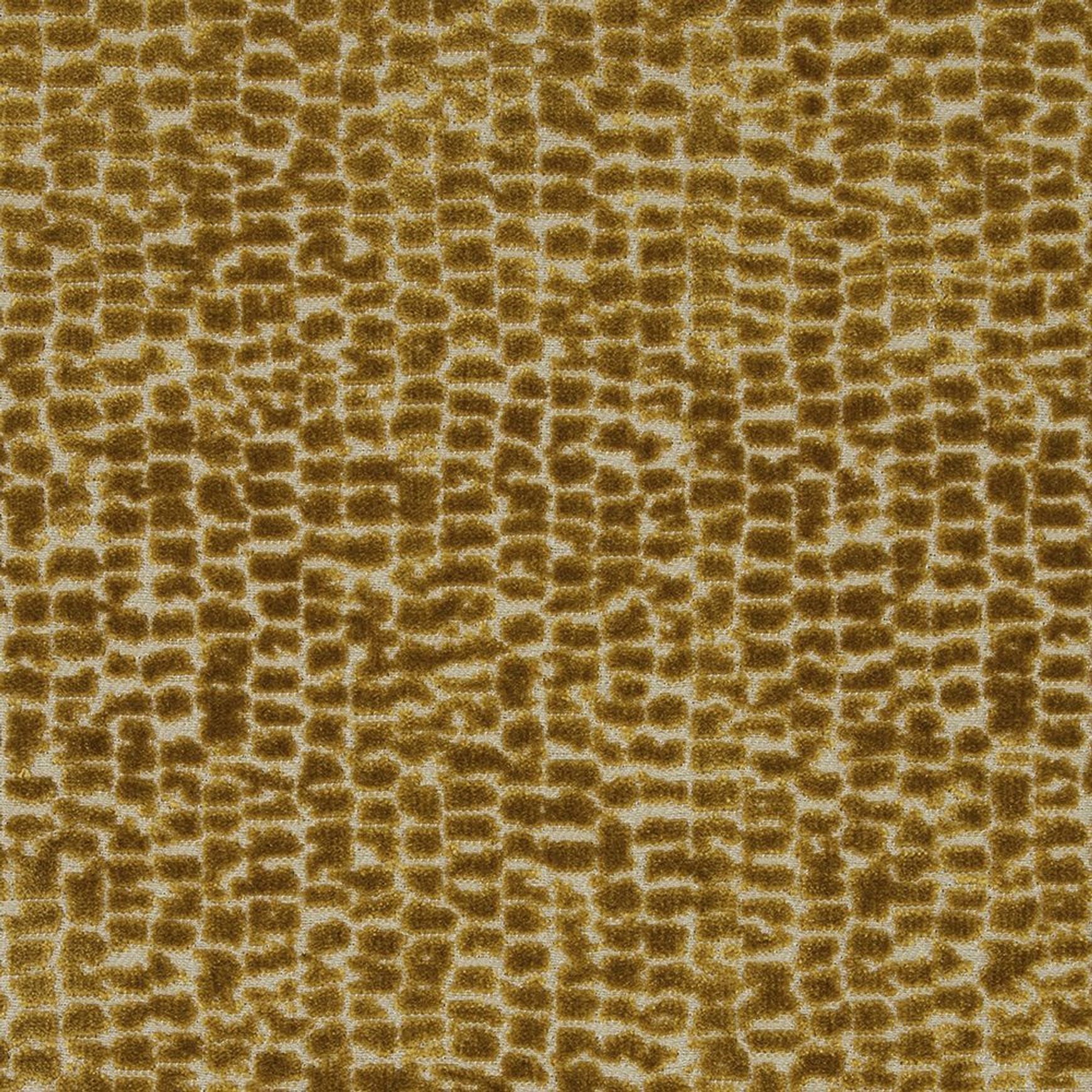 Mandal by ILIV | Drapery