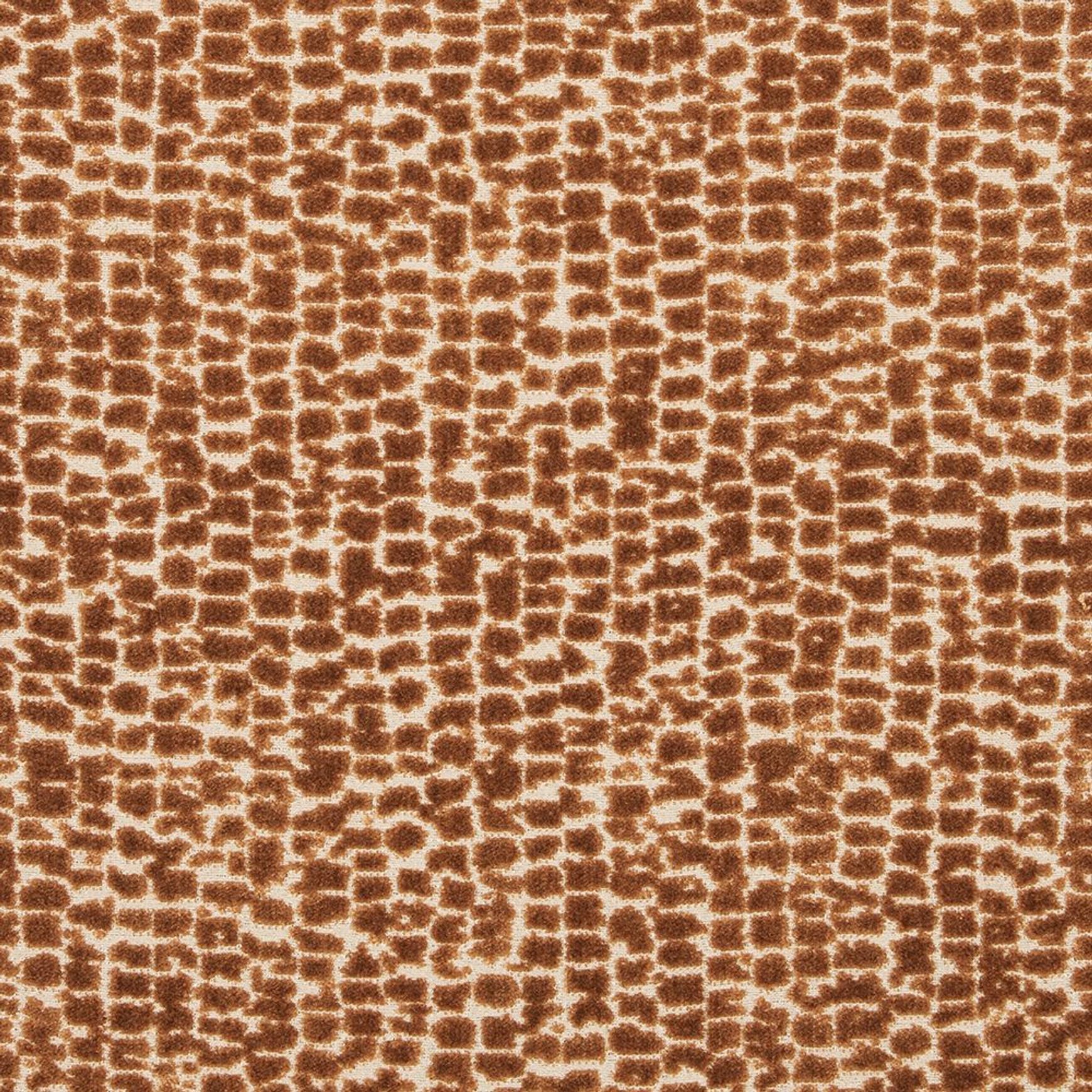 Mandal by ILIV | Drapery