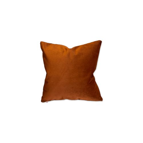 Amsterdam Velvet Cushion | Spice