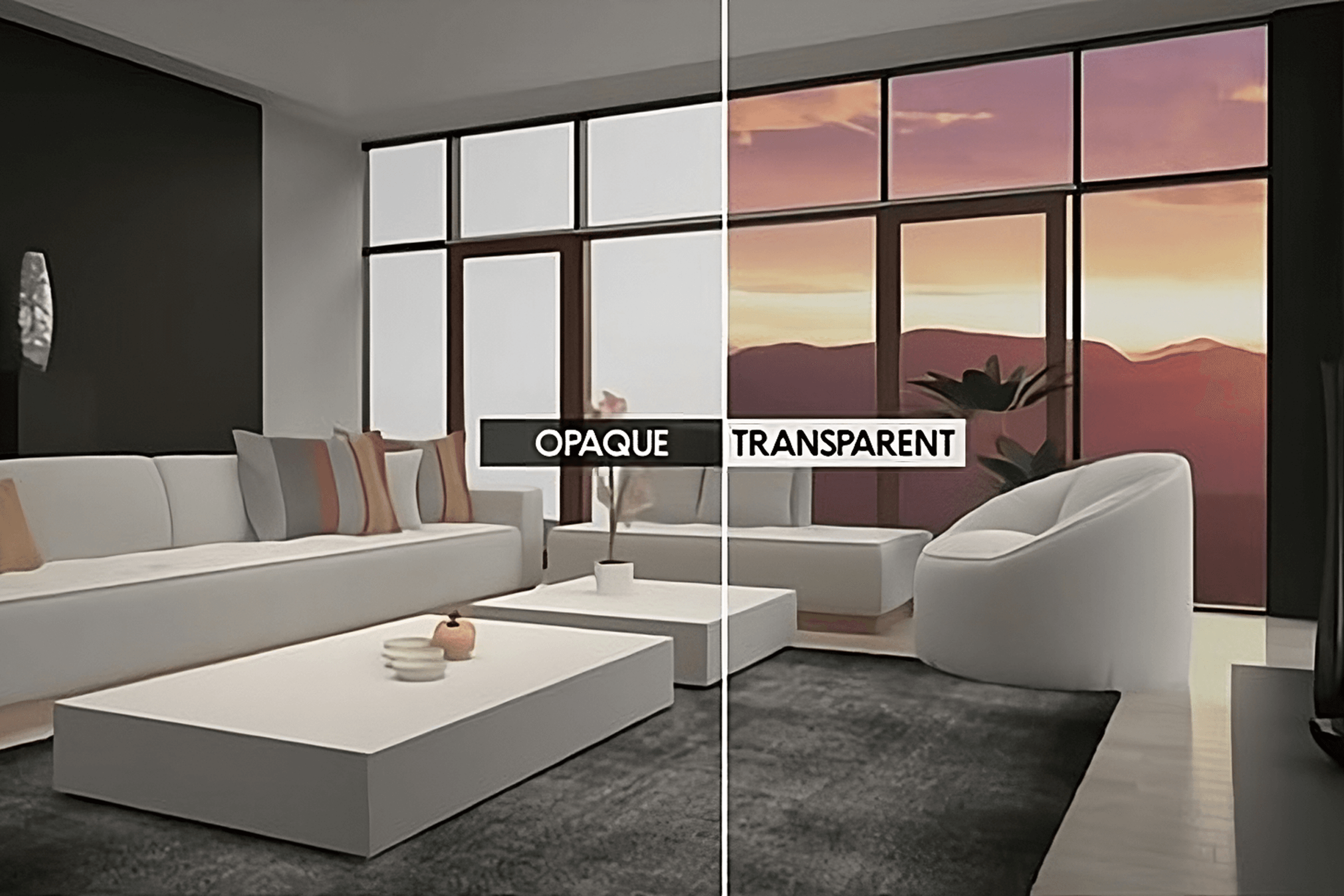 Switchable Glass