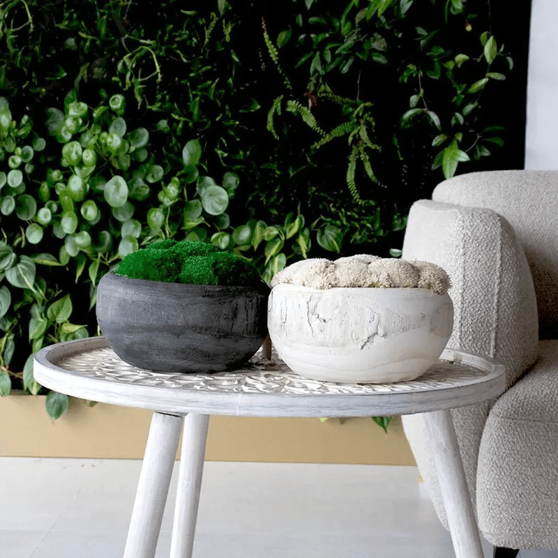 Sahara Moss Bowl
