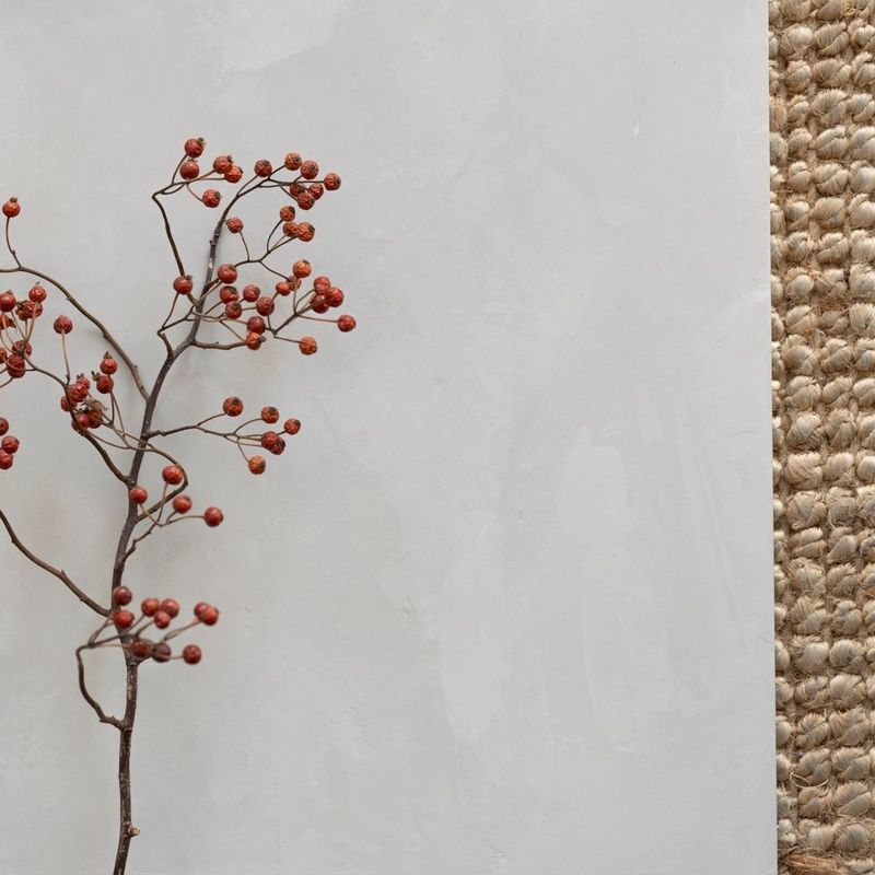 Polished Plaster | Olympic Stone