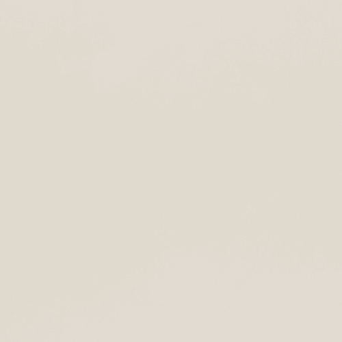 Mineral Venetian Plaster | Palace White