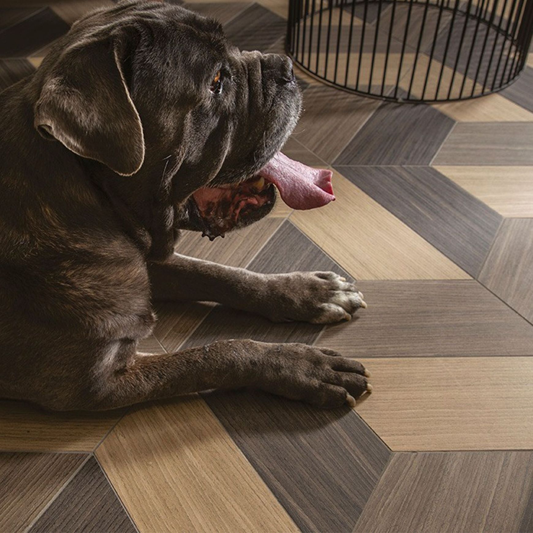 Nature Mood Floor & Wall Tile