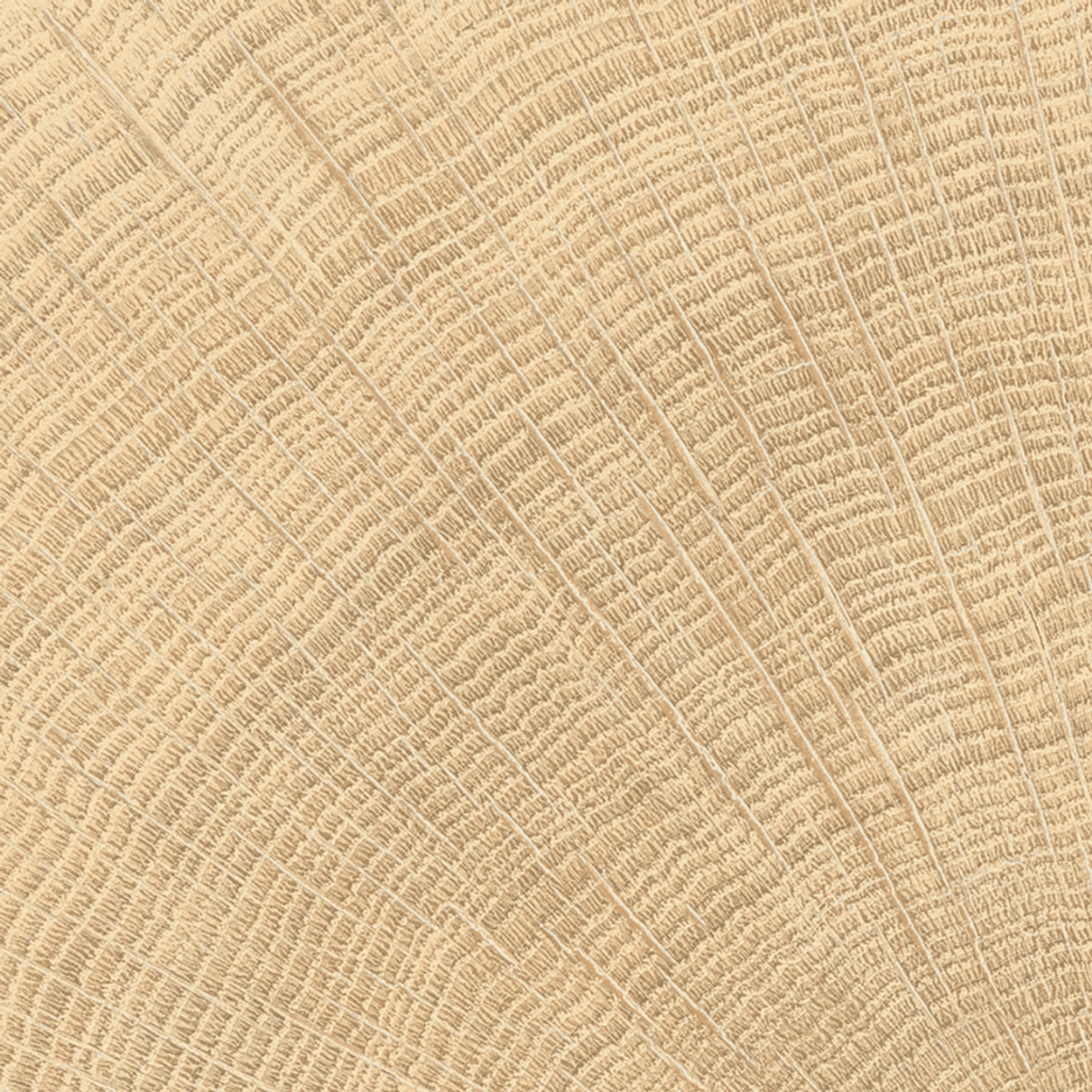 W-Circles Oak tile