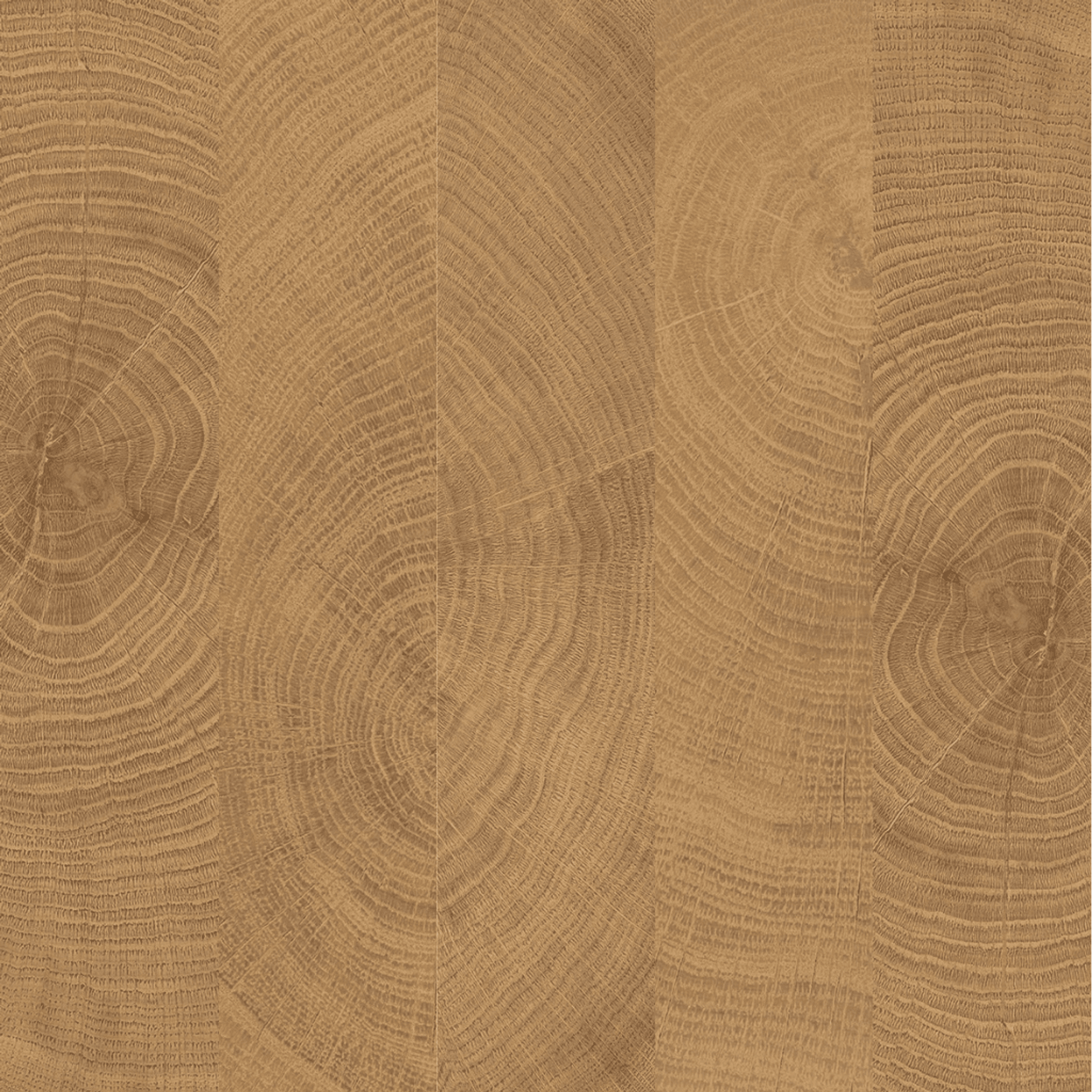 W-Circles Walnut tile