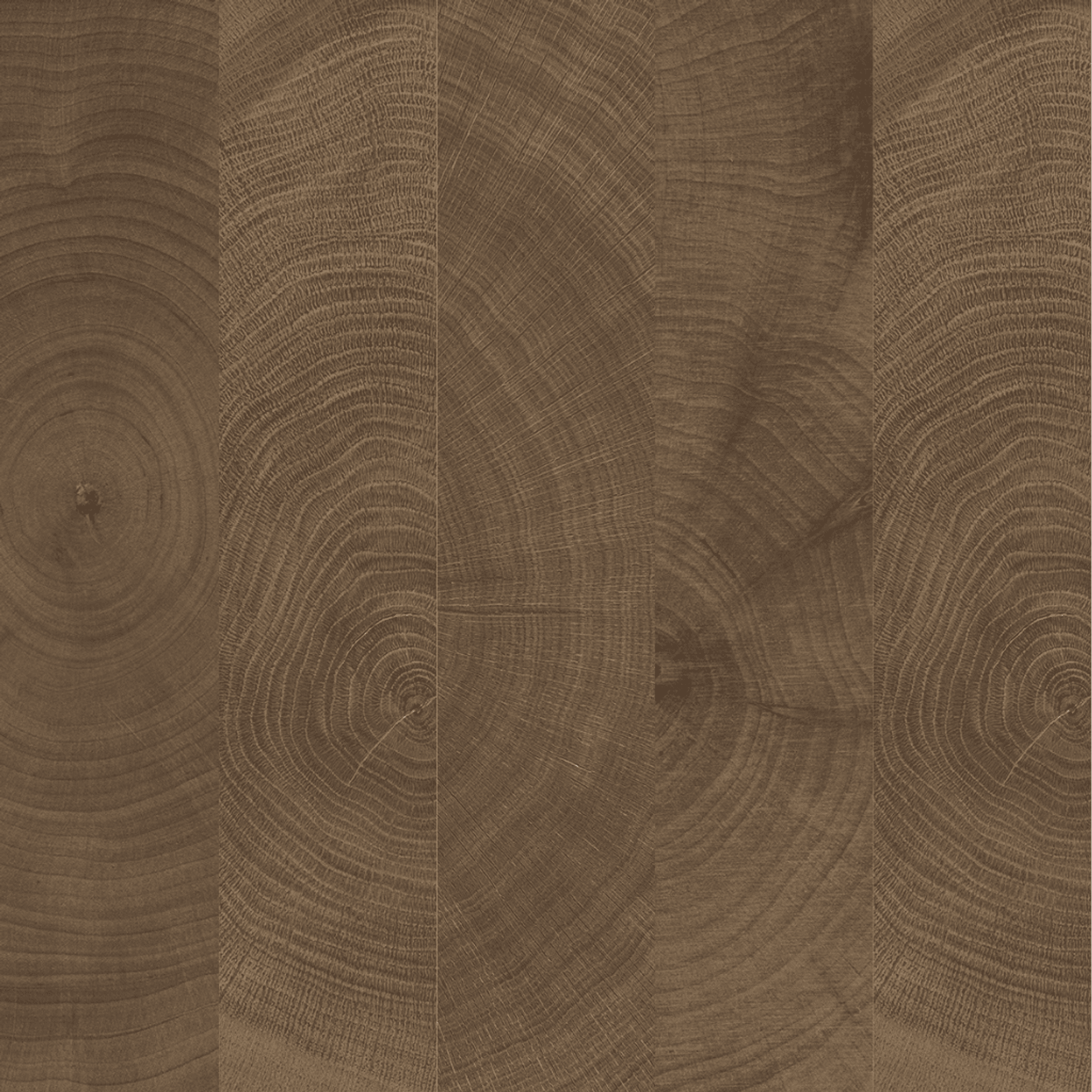 W-Circles Wenge tile