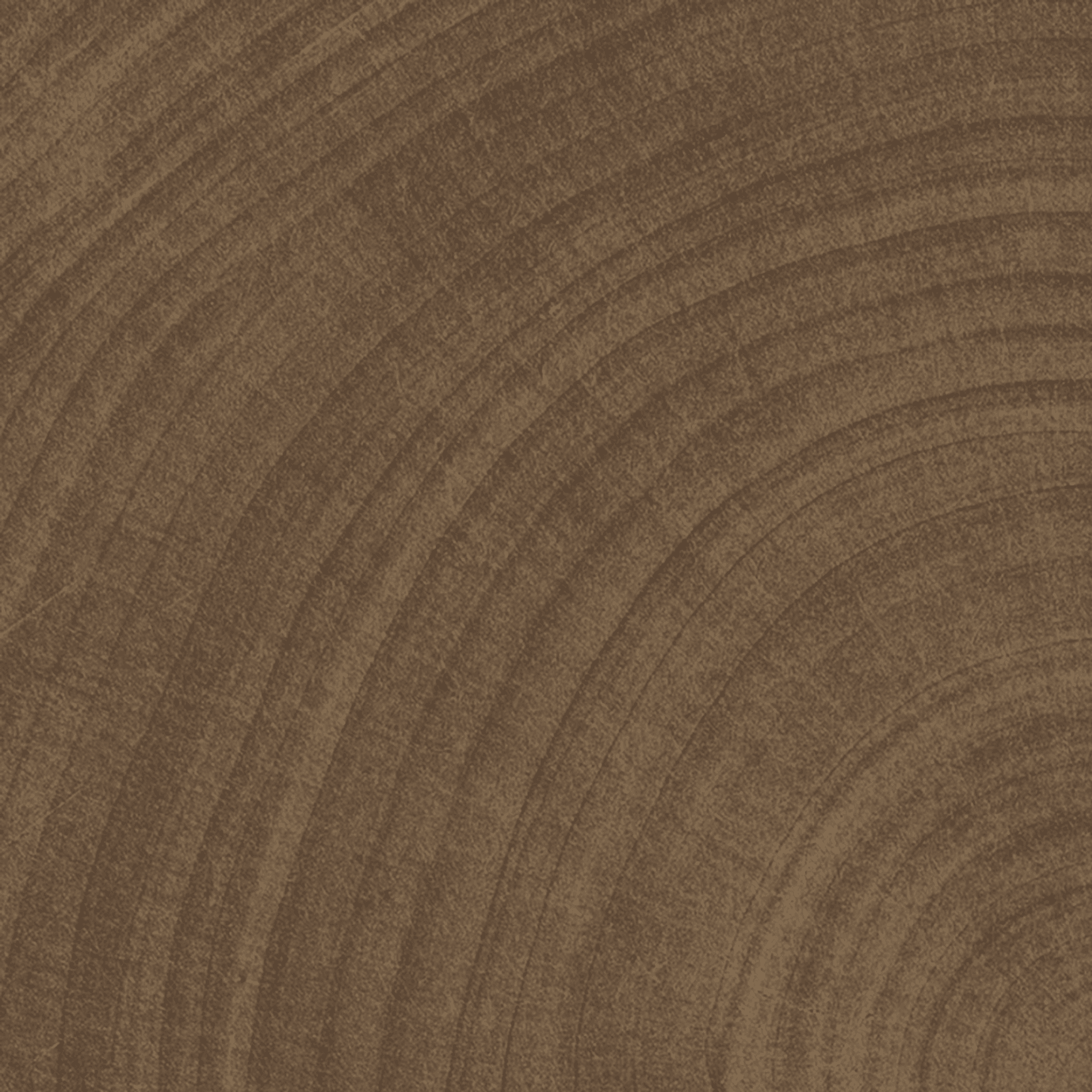 W-Circles Wenge tile