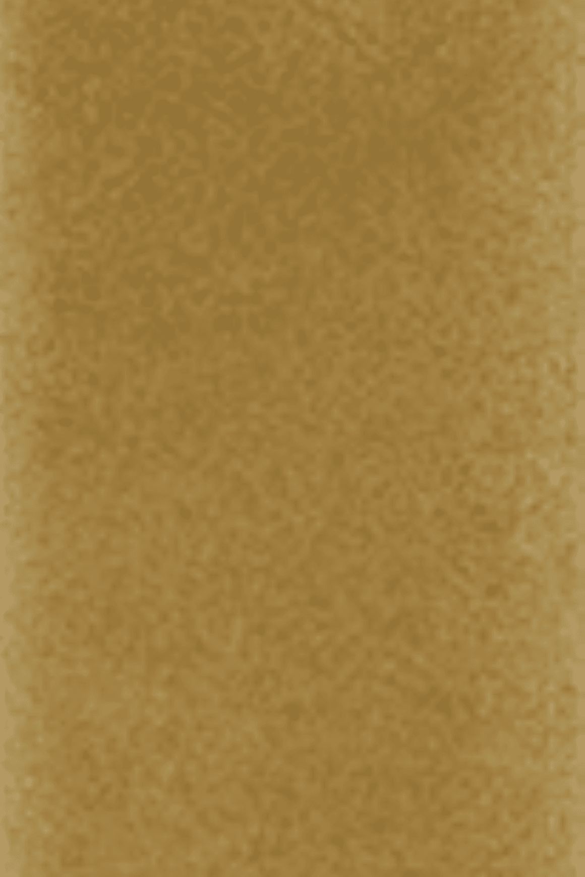Nouvelle