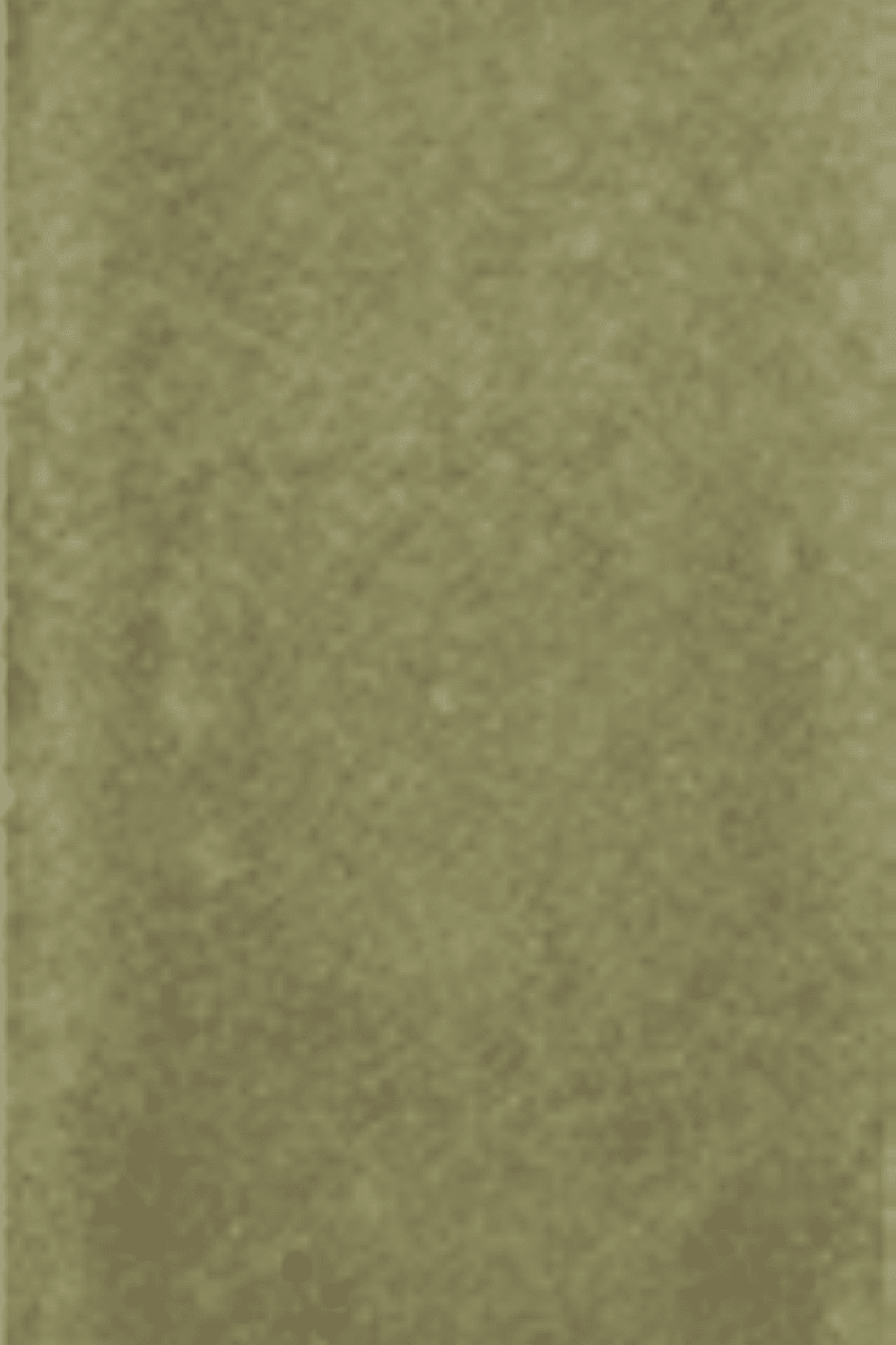 Nouvelle