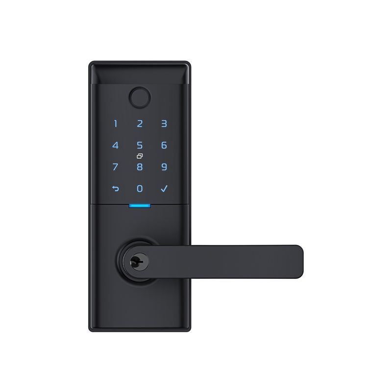 Schlage Ascent Series Smart Entrance Lever