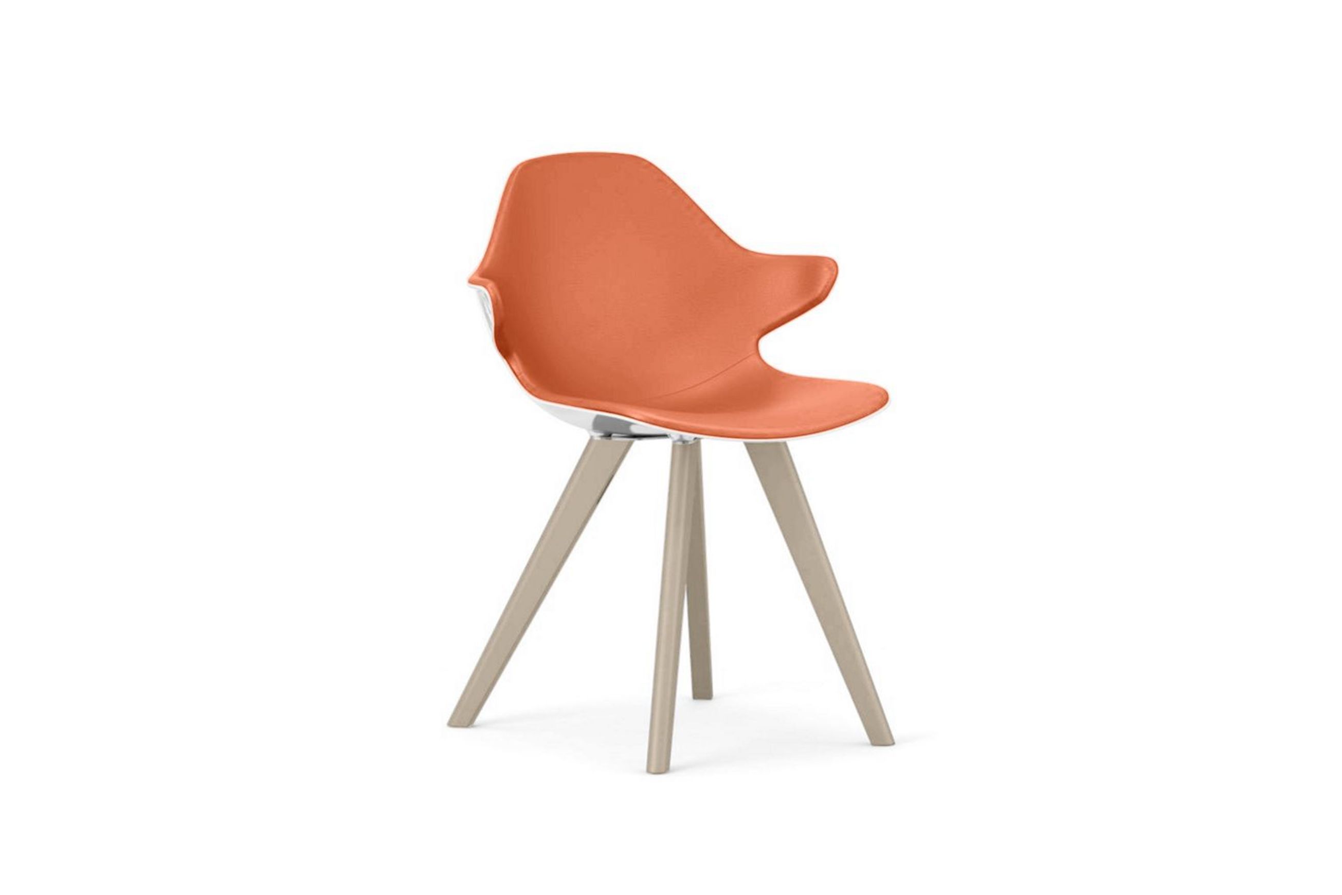 Chistera Dining Armchair - Glossy Polished Shell