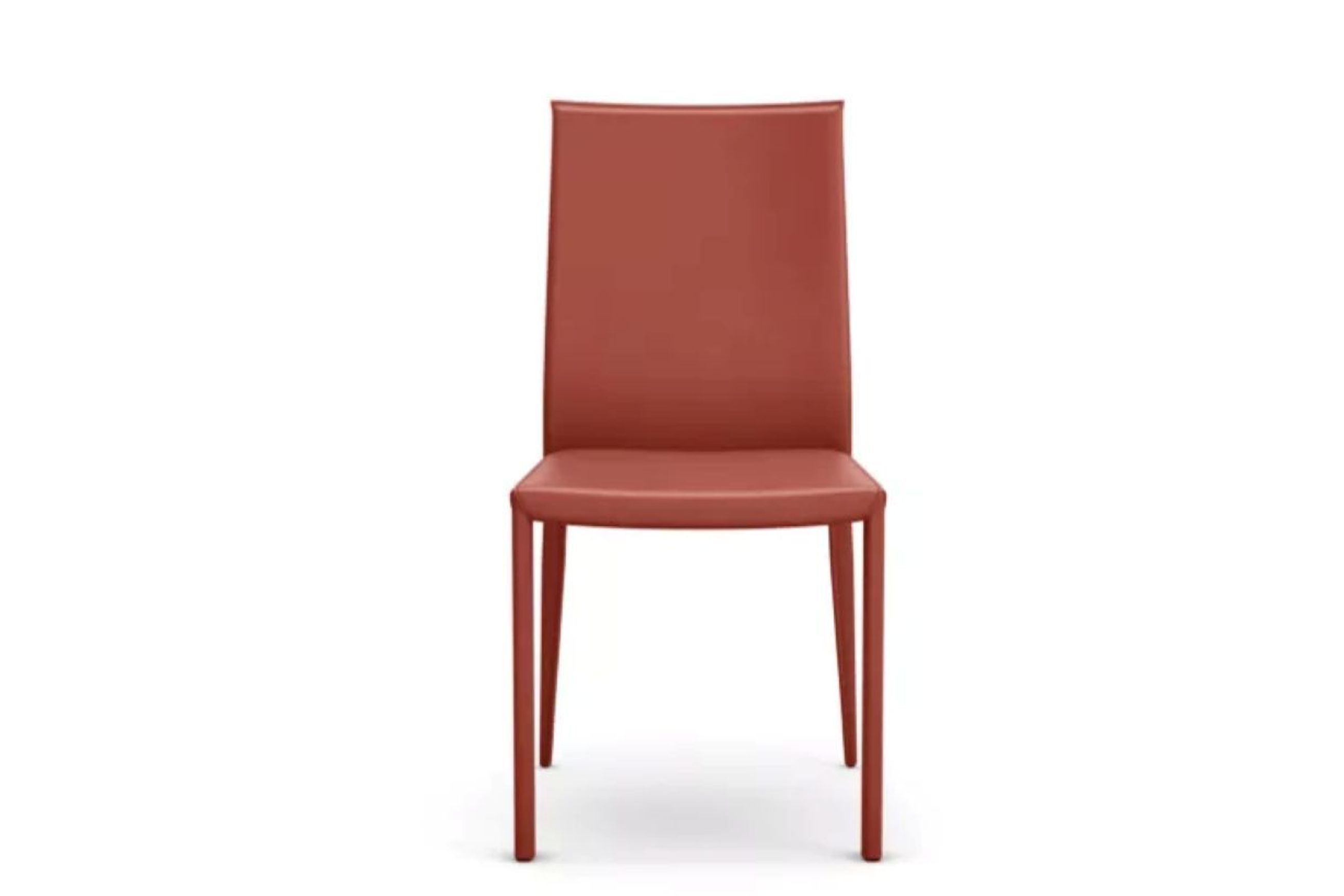 Holly Dining Chair