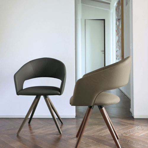 Arena Dining Chair