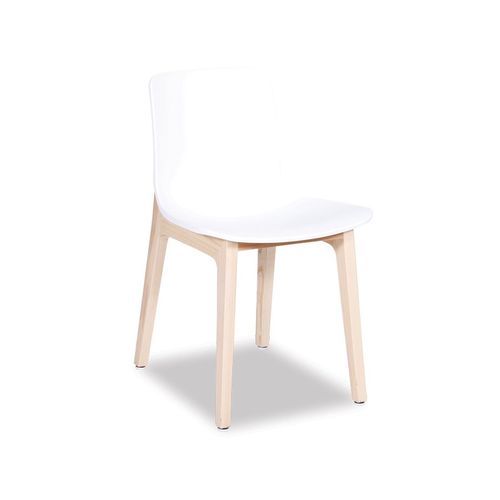 Ara Chair