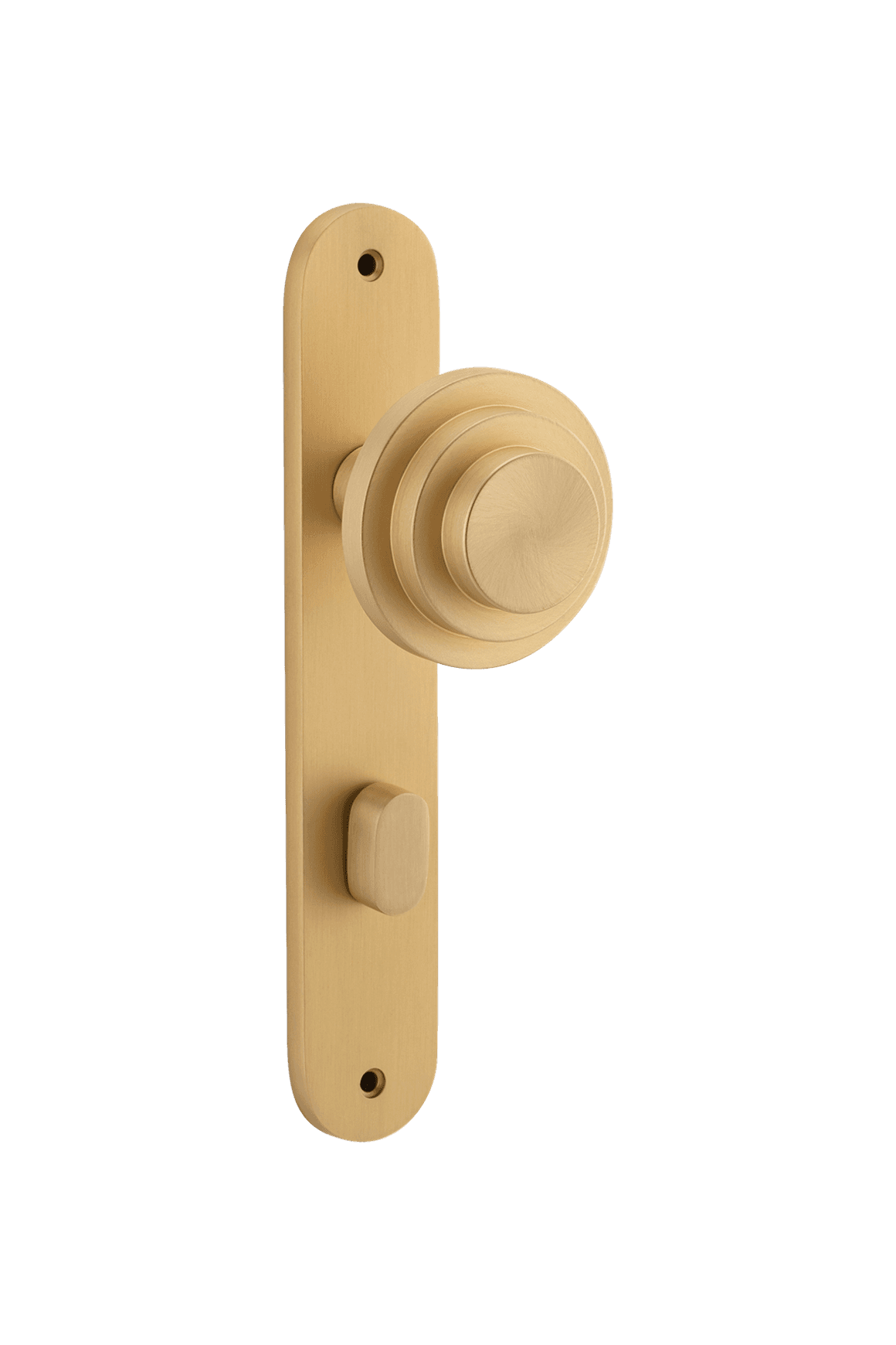 Zzzigurat Knob - Oval Backplate