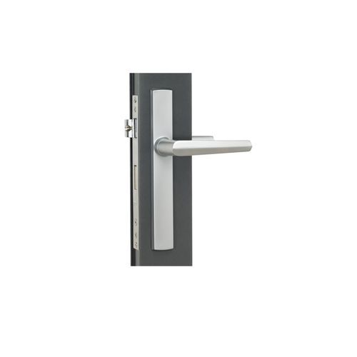 Aria Hinged Door Handle