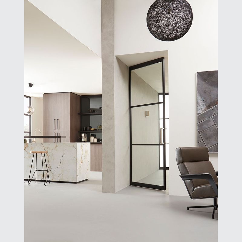 Pivotica Pro Door Hinge