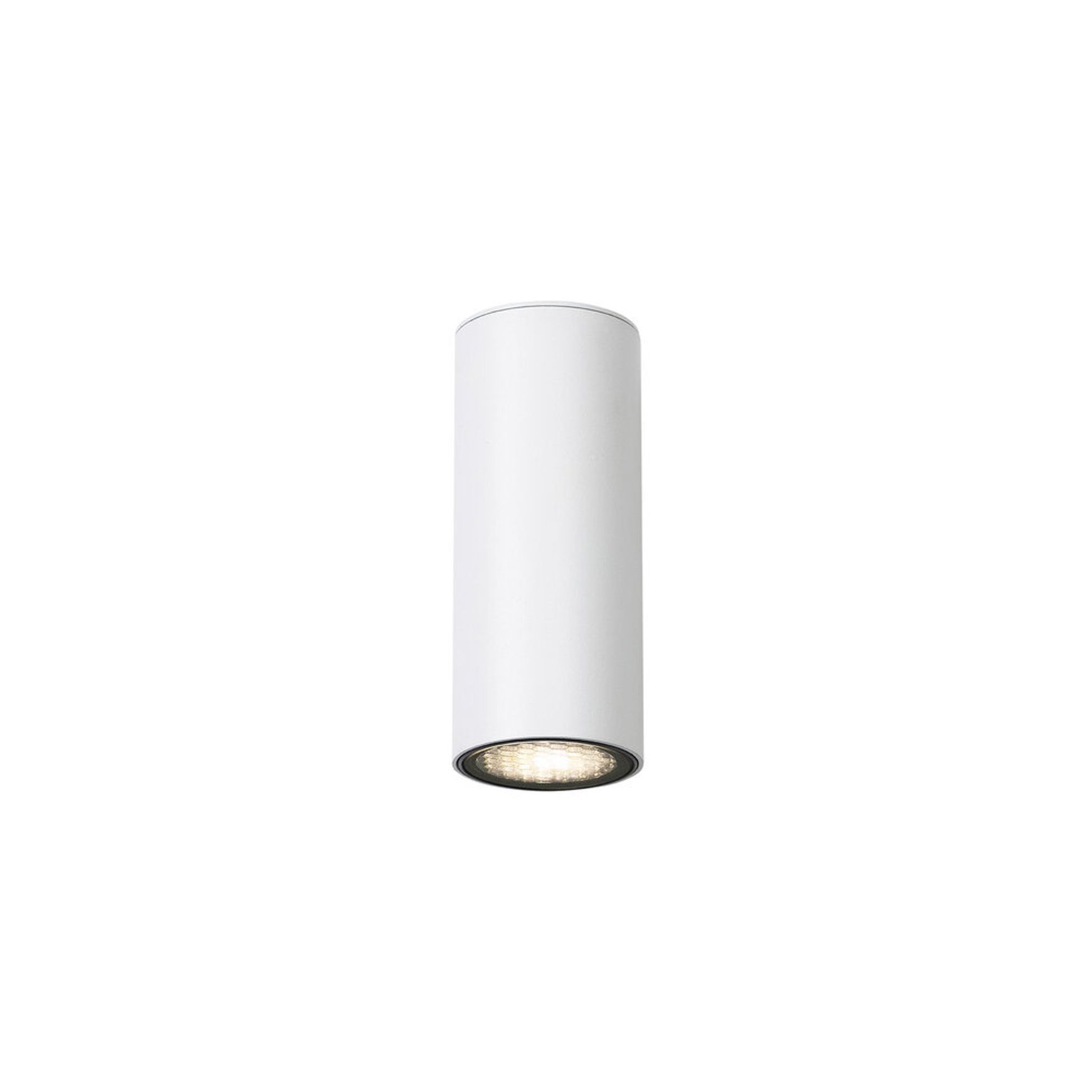 Firefly Can Surface Downlight