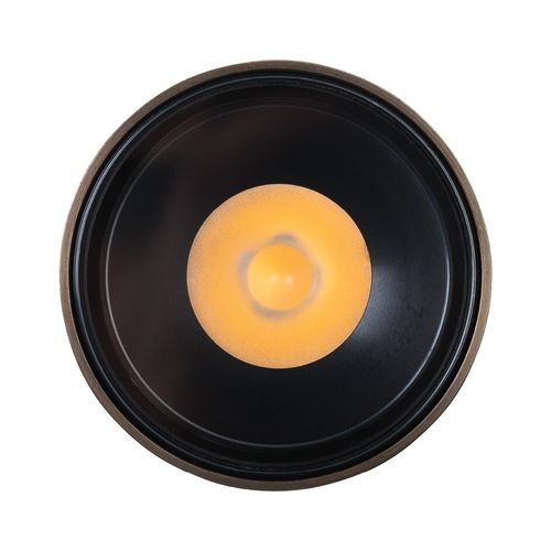 Nocturnal Firefly Surface Downlight