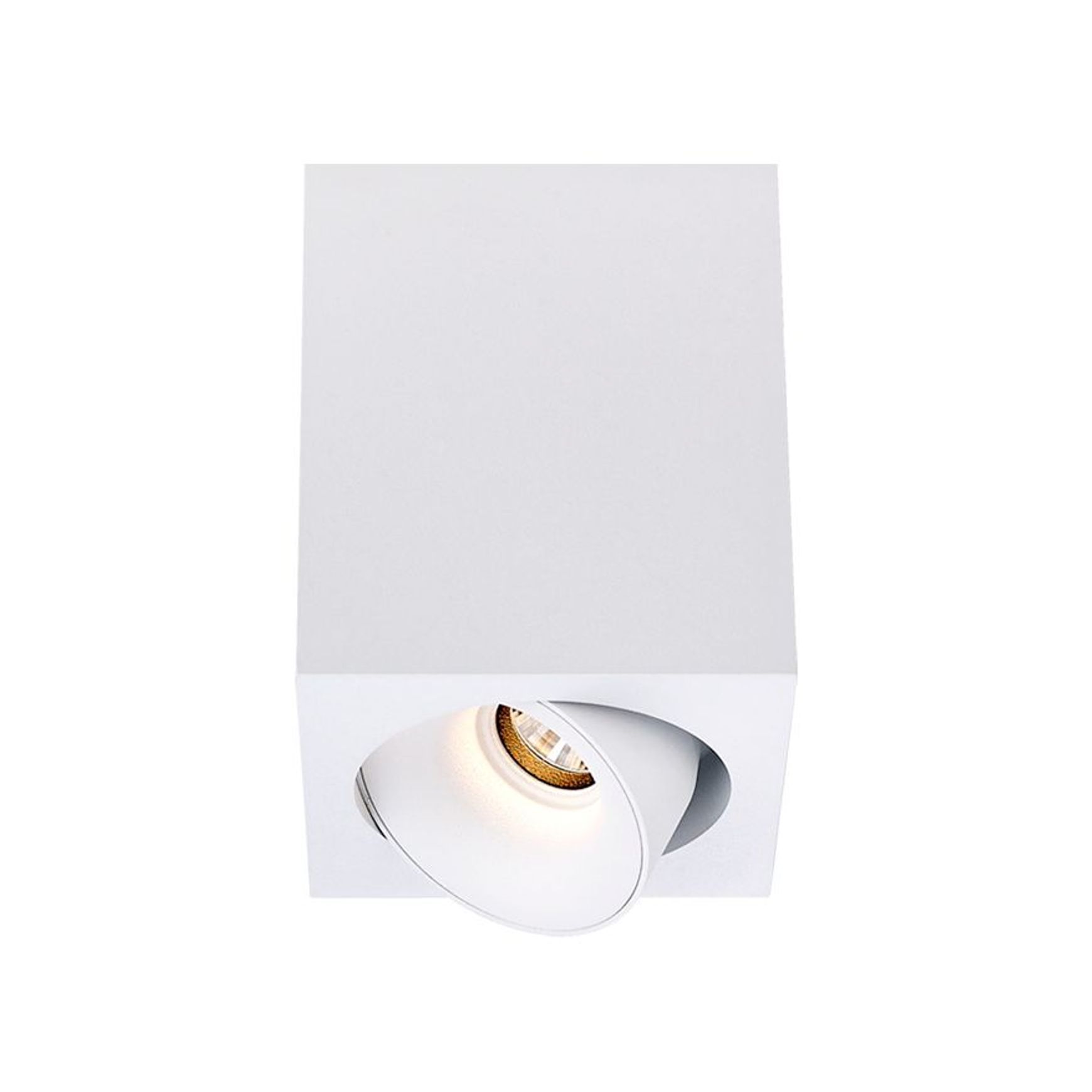 Cevon Dark Art - 10W Tilt/Rotate Surface Mount Light