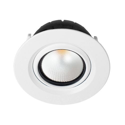 ZELA Tilt - Downlight