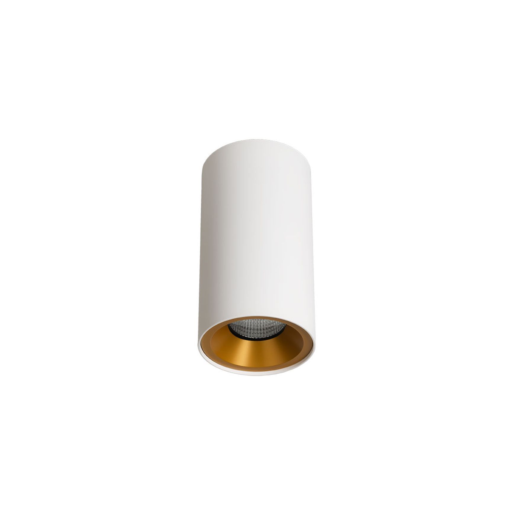 ZELA Décor Surface Mount Fixed 1 Downlight
