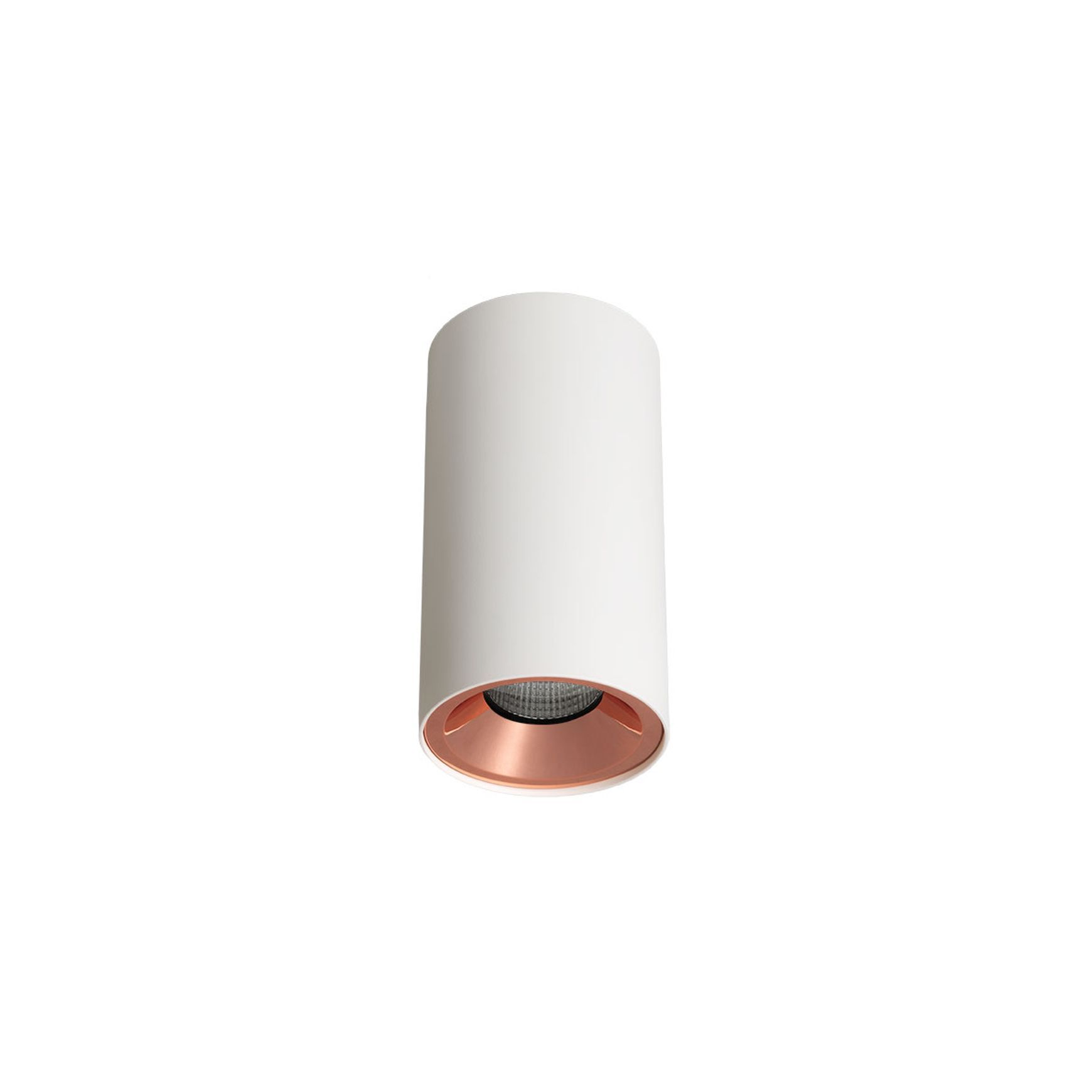 ZELA Décor Surface Mount Fixed 1 Downlight