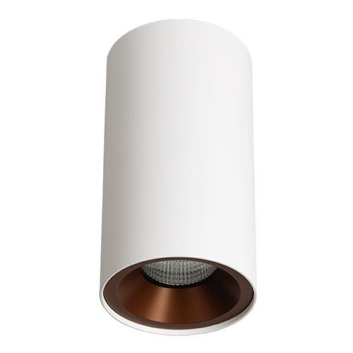 ZELA Décor Surface Mount Fixed 1 Downlight