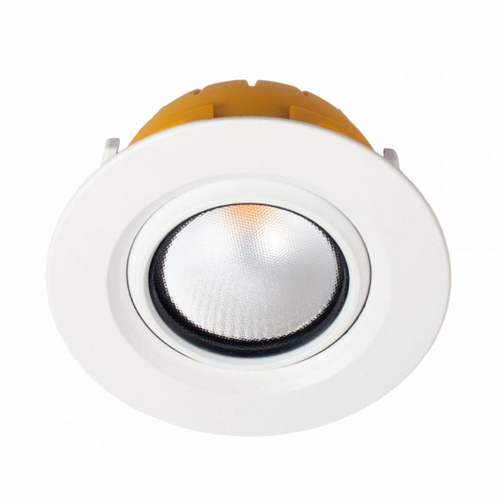 Zela Downlights
