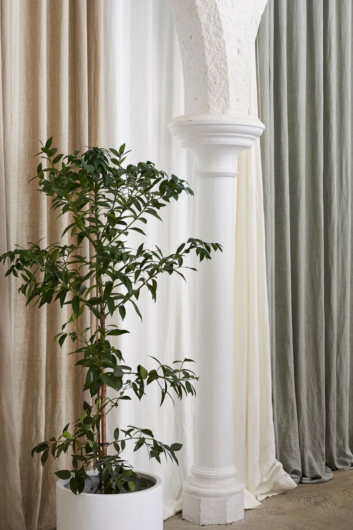 Linesta by Warwick | Drapery
