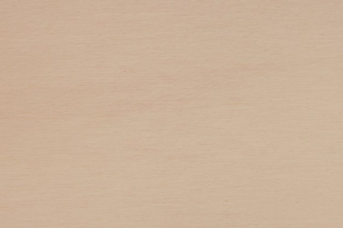 Noon Curtain | Sheer Fabrics