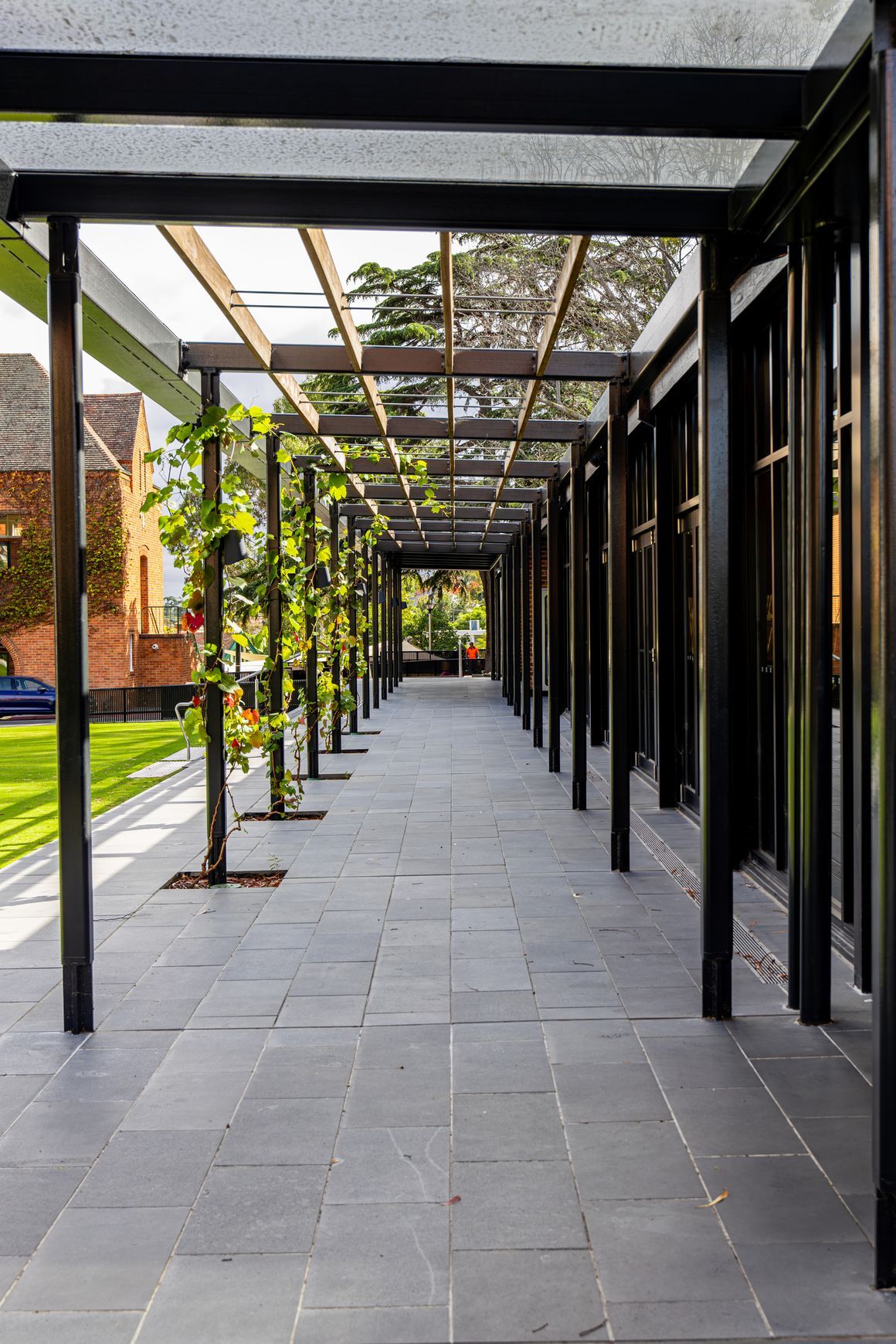 Melbourne City Approved, Tiliqua Bluestone Pavers