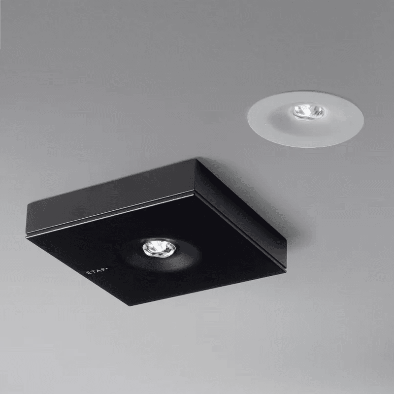 K9 Self Testing Emergency Light