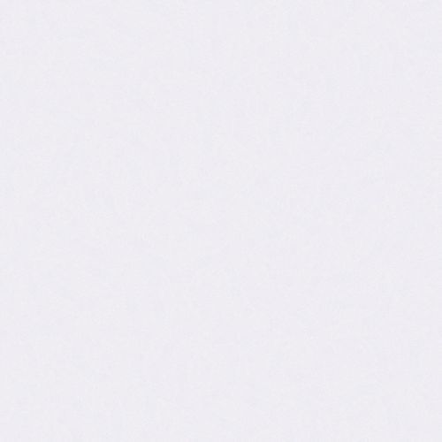 Silestone, Benchtop, White Storm14