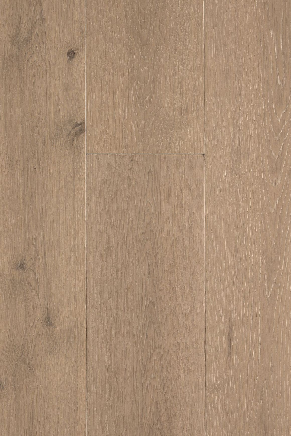 Loft Stamford Feature European Oak Flooring