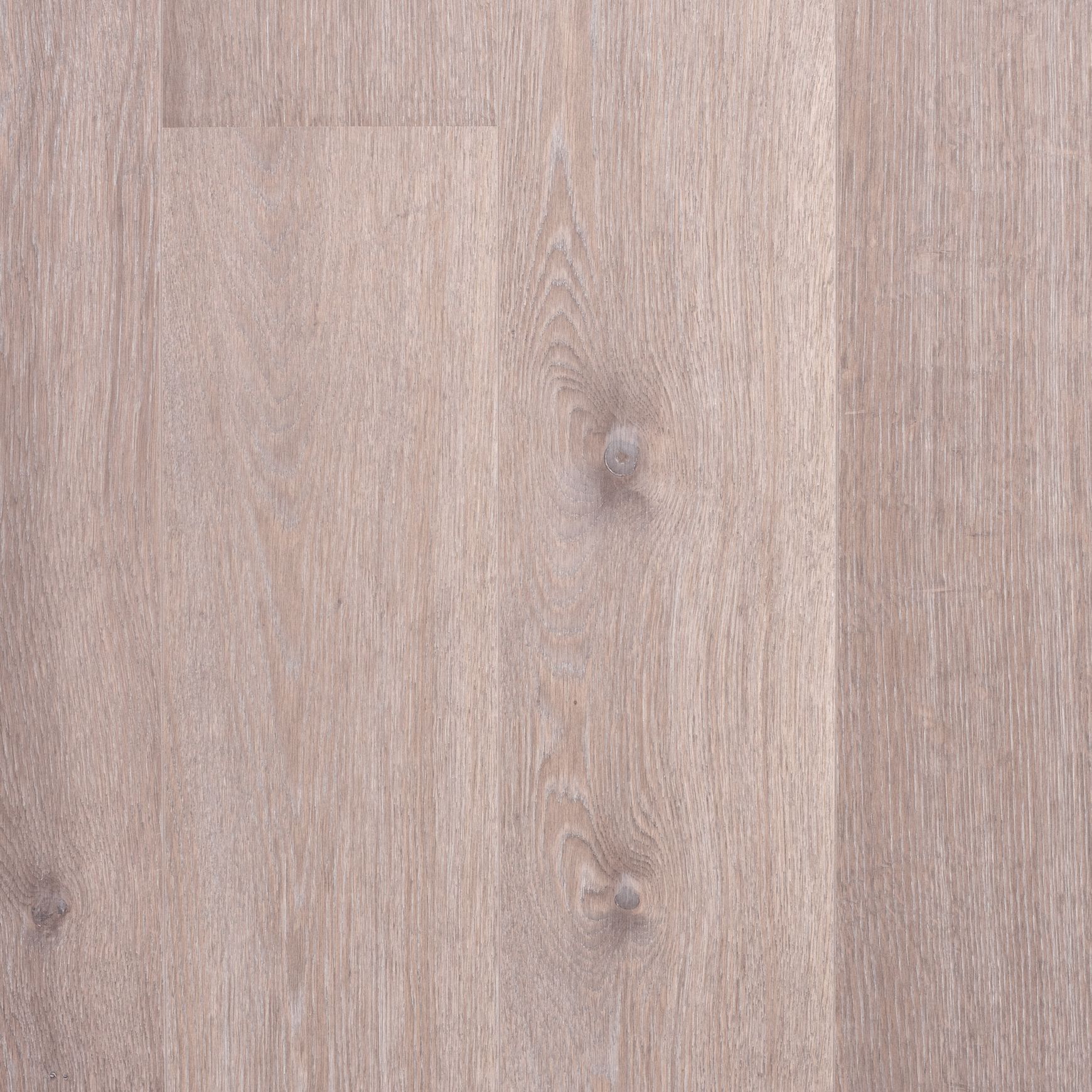 Boen 181 Live Pure Grey Harmony | Animoso Grade